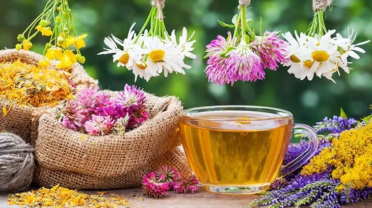 Schiller Aç Demle İç Bitki Çayı Collagen Tea 10 lu