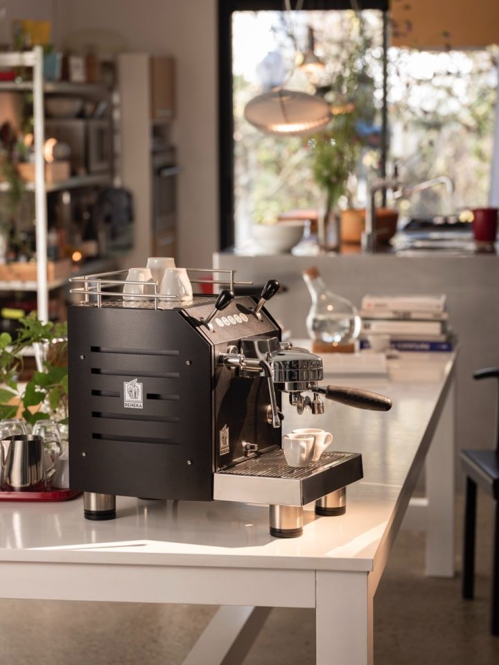 Reneka Family Home Espresso Coffee Machine